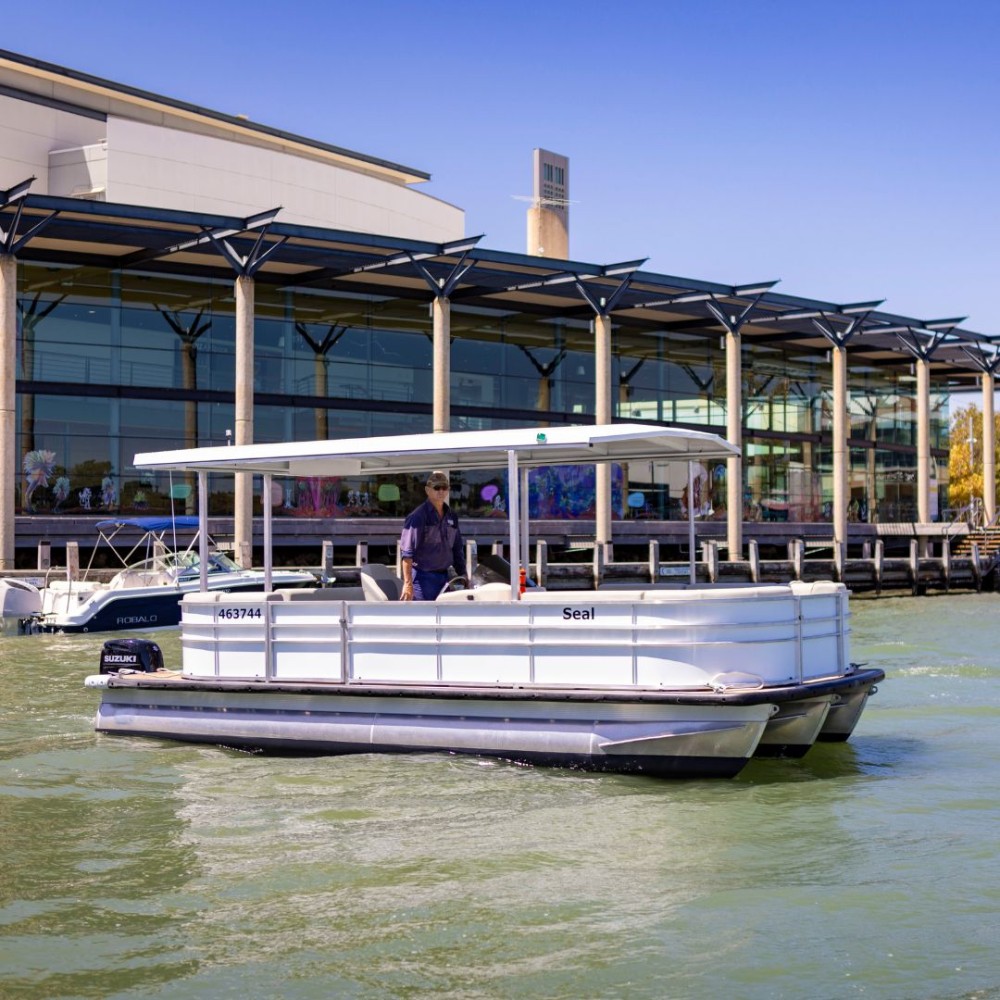 Premium Pontoons Mandurah Boat Hire